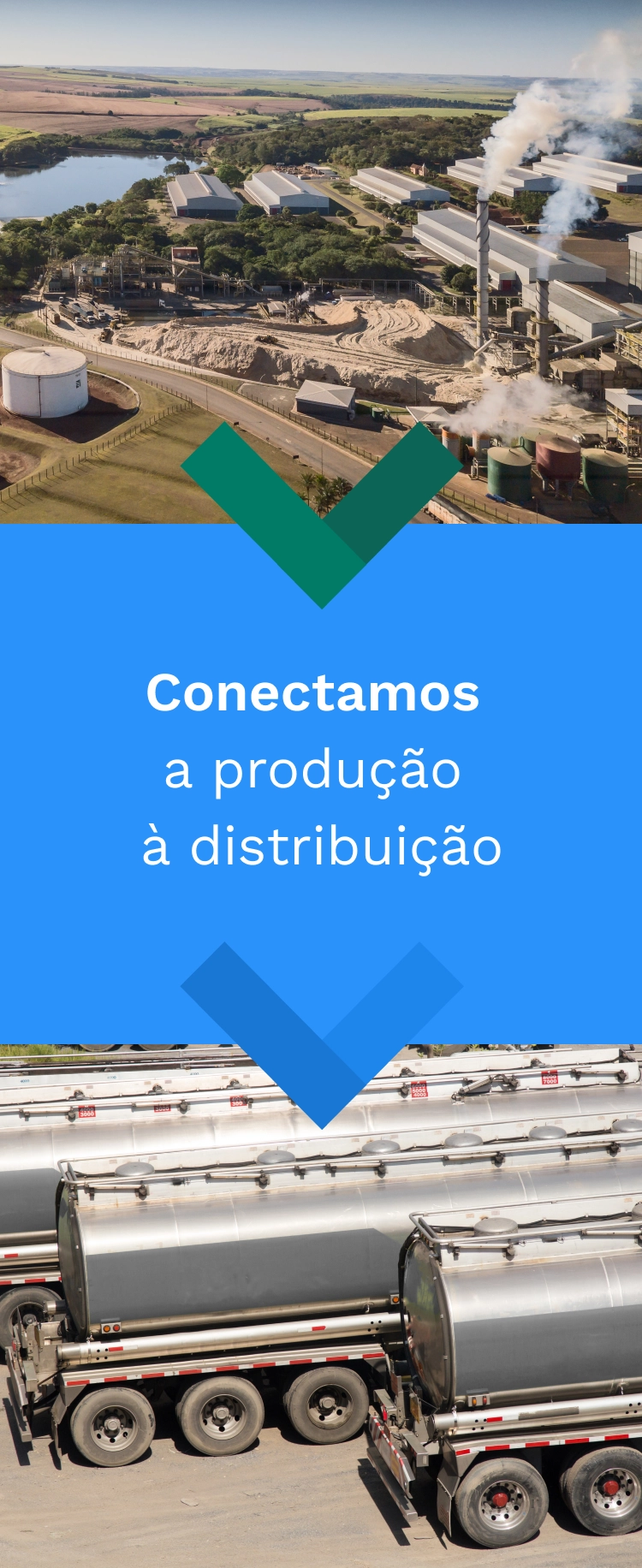 Imagem mostra fluxo do etanol desde a usina, passando pela atuação da Evolua até chegar à distribuição